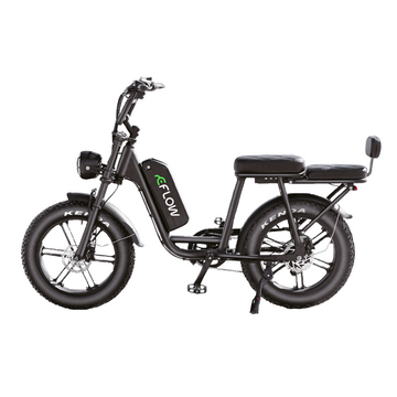 E-bike D20 Pro Bicicleta Elétrica Motor 750W