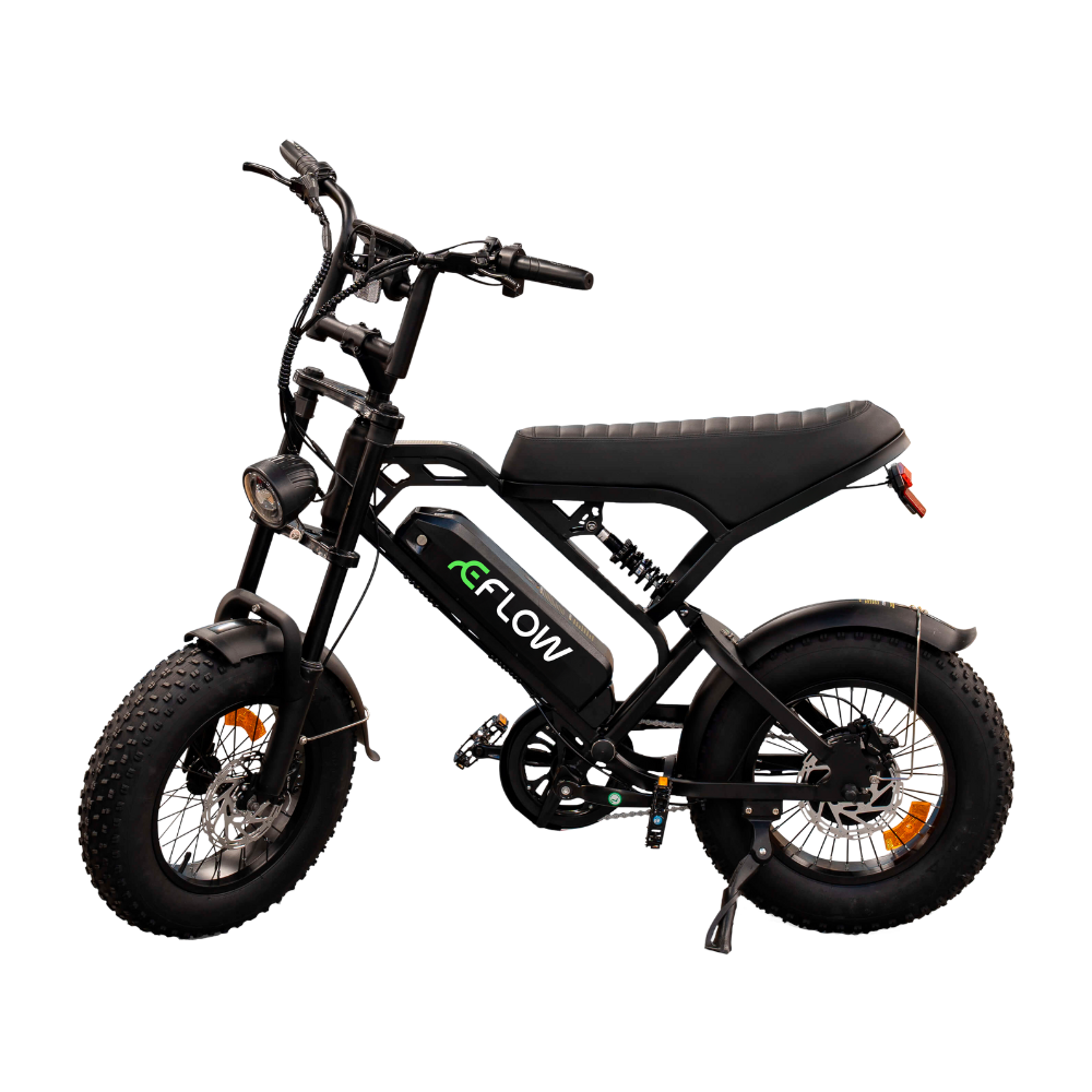 E-bike V20 MINI Pro Bicicleta Elétrica Motor 750W