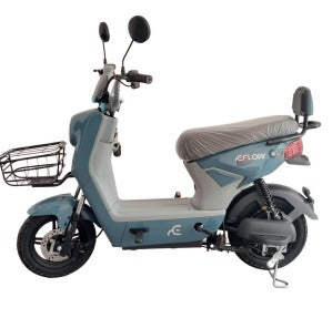 Scooter E4 Plus 800w Eflow